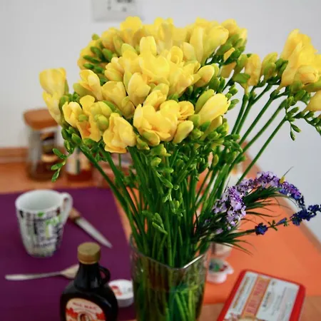 Ferienhaus Casa Marrucini Rom